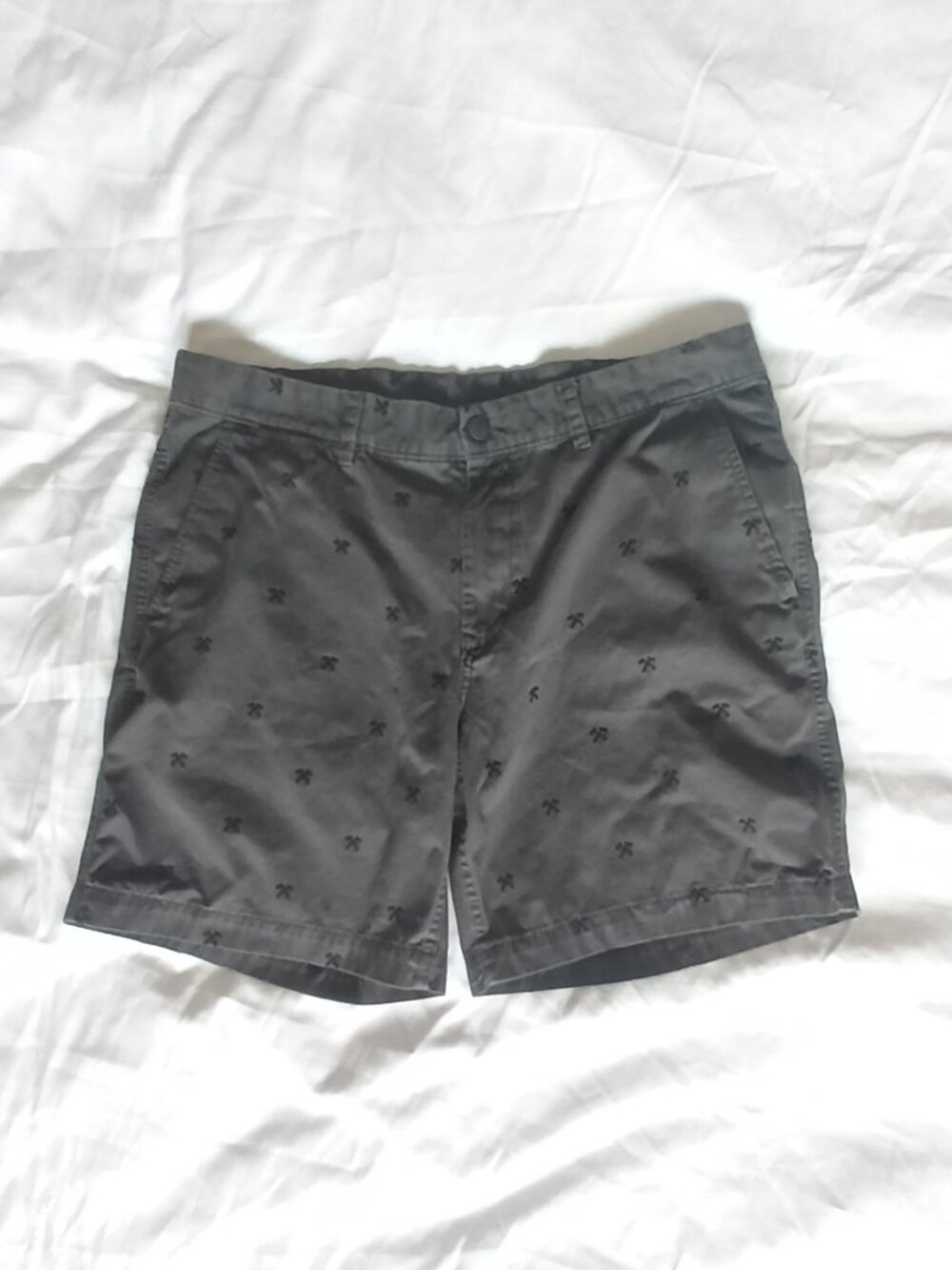 The North Face Men's Grey Short, size 36